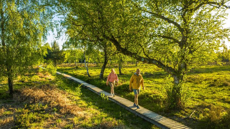 Een mooie wandeling over een houten pad door het groene landschap. Twee personen genieten van de zon en de natuur.