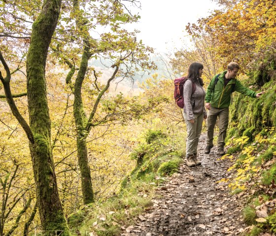Smalle rotsachtige paden op Eifelsteig etappe 12, © Eifel Tourismus GmbH, D. Ketz
