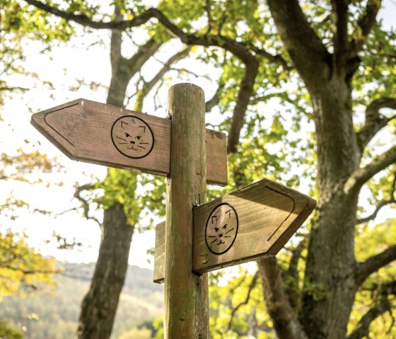 Signalisation du Wildnis-Trail, © Eifel-Tourismus GmbH, Dominik Ketz