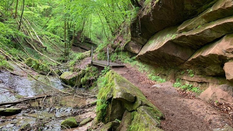Ein malerischer Wanderweg durch einen grünen Wald. Felsen und ein kleiner Bach flankieren den Pfad.