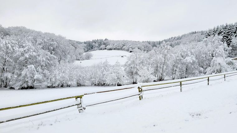 Eine verschneite Landschaft mit Bäumen und sanften Hügeln. Der Himmel ist grau und bewölkt.