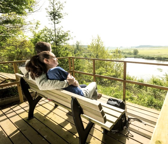 Vulkaanpad Eichholzmaar, © Eifel Tourismus GmbH, Dominik Ketz