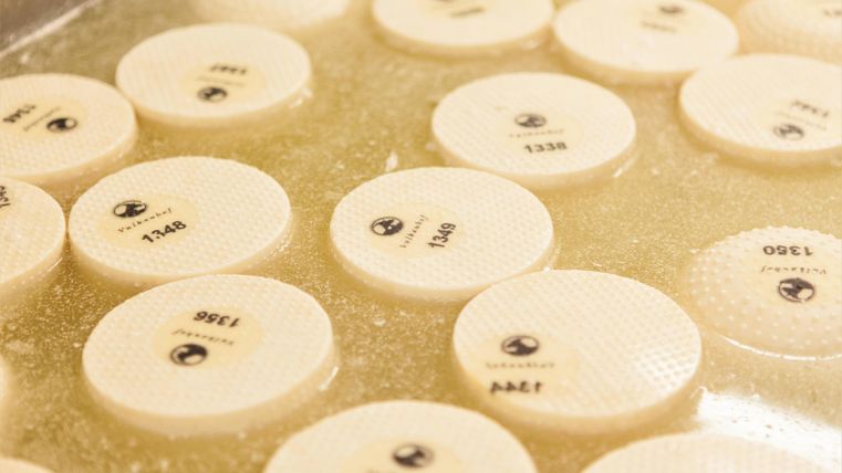 Eine Vielzahl von runden, weißen Objekten mit numerischen Markierungen schwimmt in einer Flüssigkeit. Das Bild zeigt eine Nahaufnahme dieser Objekte in einer transparenten Schale.