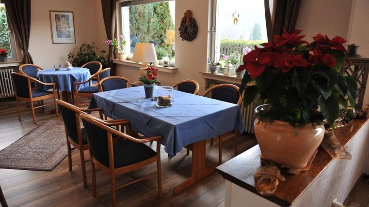 A cozy room with blue tablecloths and wooden chairs. On the windowsill, there is a blooming pot with red plants.