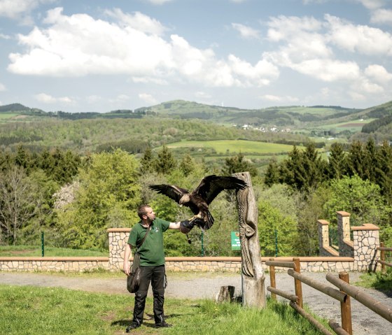 Flugschau im Wild- und Erlebnispark Daun, &copy; Eifel Tourismus GmbH, Dominik Ketz