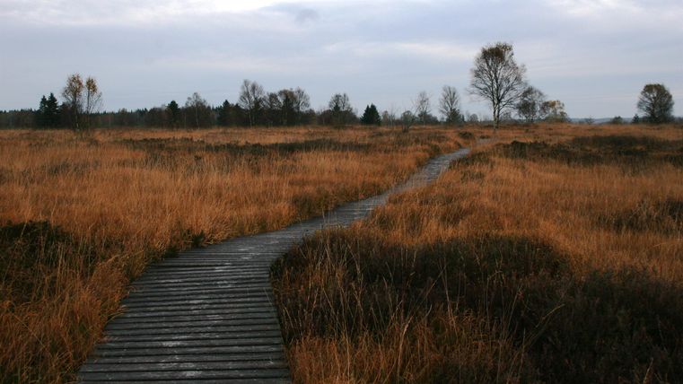 Ein Holzweg führt durch eine weite, braun-gelbe Landschaft. Der Himmel ist bewölkt und die Bäume sind spärlich verteilt.