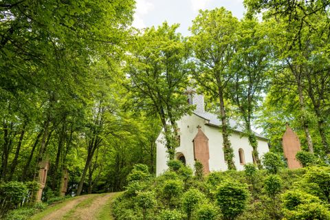 Eine kleine Kirche umgeben von Bäumen und grünen Sträuchern. Der Weg zur Kirche führt durch eine ruhige Waldlandschaft.