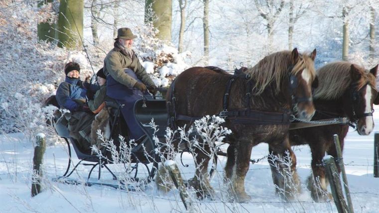 Eine Winterlandschaft mit Schnee und Bäumen. Eine Pferdeschlittenfahrt mit Passagieren zieht durch die verschneite Umgebung.