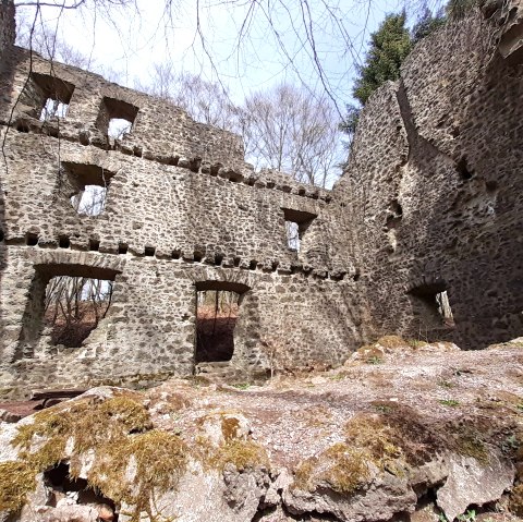Burgruine Freudenkoppe, &copy; Touristik GmbH Gerolsteiner Land, Ute Klinkhammer