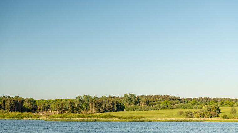Ein ruhiger Fluss mit grünem Ufer und Bäumen im Hintergrund. Der Himmel ist klar und blau.