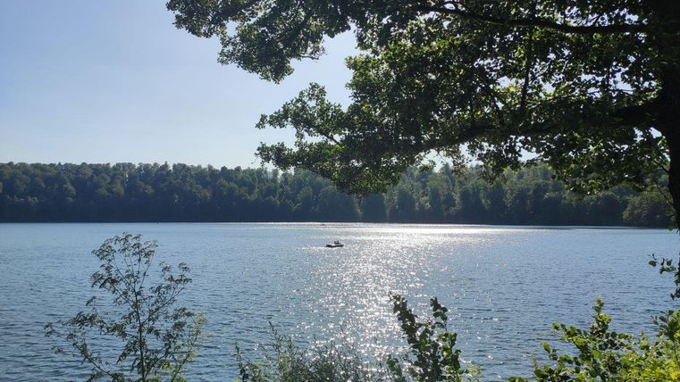 Ein ruhiger See, umgeben von Bäumen und grünem Gestrüpp. Die Sonnenstrahlen reflektieren auf der Wasseroberfläche.