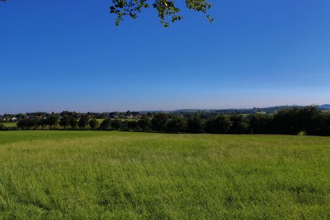 Eine grüne Wiese mit klarem blauen Himmel und sanften Hügeln im Hintergrund. Die Landschaft wirkt friedlich und einladend.