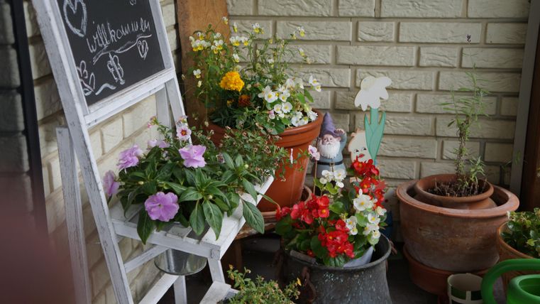 A beautiful balcony with colorful flowers in pots. In the background, there is a white ladder with a sign.