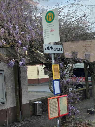 Eine Bushaltestelle mit einem Informationsschild und Fahrplänen. Im Hintergrund sieht man blühende Pflanzen.