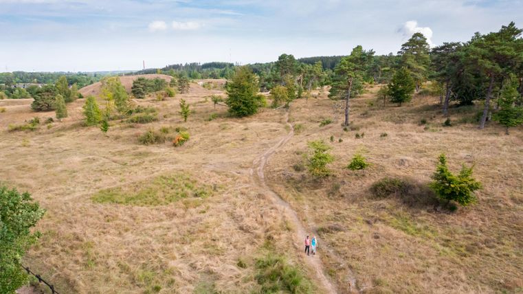 Eine weite, offene Landschaft mit vereinzelten Bäumen und einem Wanderweg. Zwei Personen gehen entlang des Pfades durch die trockene Vegetation.
