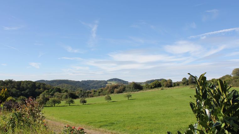 Een groene weide met zachte heuvels op de achtergrond en een blauwe lucht. De omgeving is omringd door bomen en struiken.