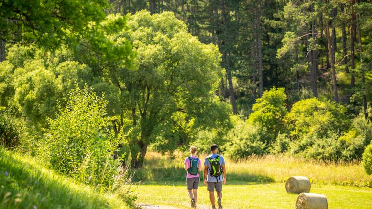 Twee personen wandelen op een smal pad door een groene landschap. Omgeven door bomen en de natuur genieten ze van een zonnige dag.