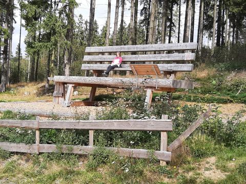 Ein großes Holzsofa im Wald, umgeben von Bäumen und Wildblumen. Eine Person sitzt entspannt auf dem Sofa und genießt die Natur.