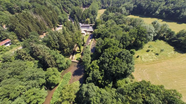 Eine grüne Landschaft mit vielen Bäumen und einem Fluss, der durch die Mitte fließt. Im Hintergrund sind sanfte Hügel und eine Wiese zu sehen.
