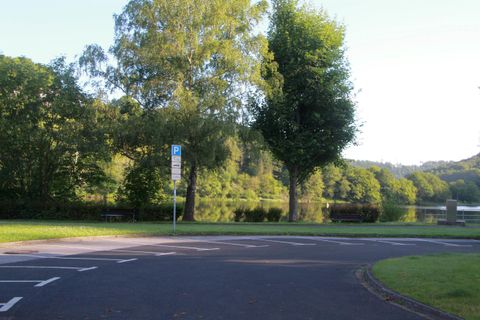 A tranquil park landscape with green trees and a gentle roadway. In the background, a lake can be seen reflecting the nature.