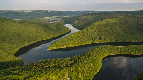 Luchtfoto van een rivier die door beboste heuvels kronkelt.