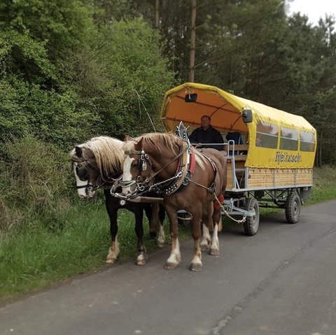 Planwagenfahrt Eifelkutsche (1), &copy; Barger