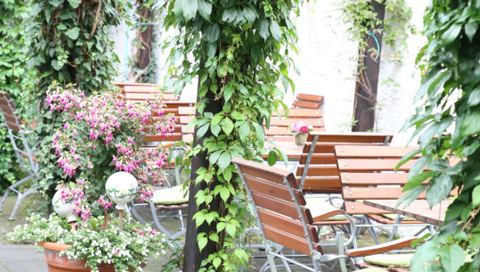 An inviting outdoor area with wooden tables and chairs, surrounded by green plants. Colorful flowers in pots create a friendly atmosphere.
