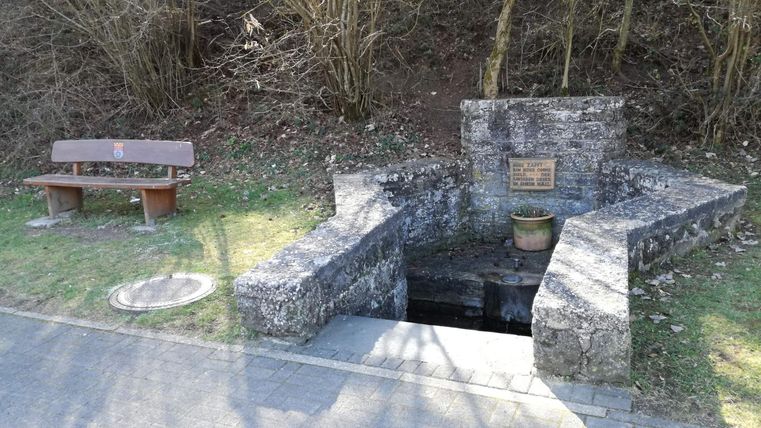 Eine kleine Steinquelle mit einer Bank in der Nähe. Umgeben von Bäumen und Wiese.