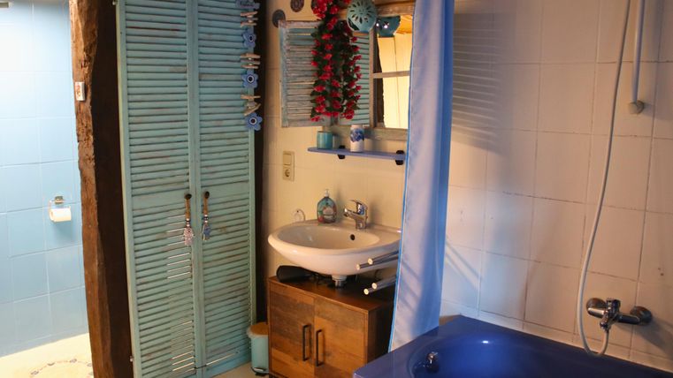 A light-filled bathroom with blue accents. There is a bathtub, a sink, and an open access to the shower cabin.