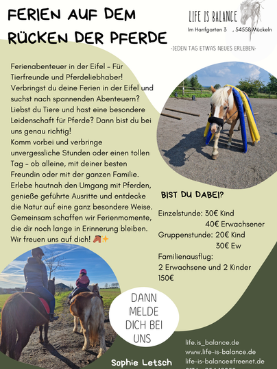 A information sheet about holiday offers on horses in the Eifel. It contains details on prices and activities for families and horse lovers.