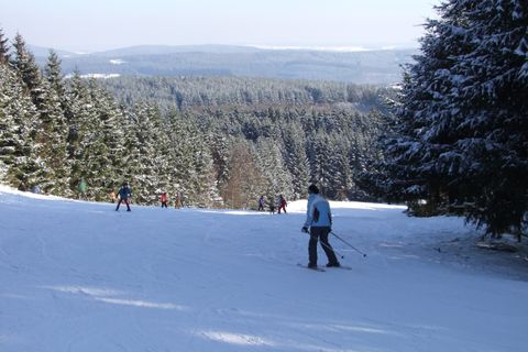 A snow-covered ski slope surrounded by trees. In the background, the mountains and a clear sky can be seen.