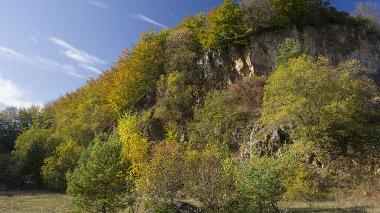 Ein malerischer Felsen mit Bäumen und buntem Laub. Der Himmel ist klar und blau, was die natürliche Schönheit unterstreicht.