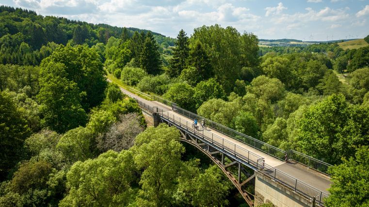 Forest landscape with a cycle path in the middle, which leads over a bridge above the trees.