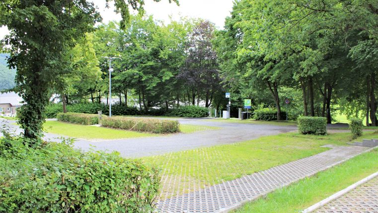 Eine ruhige Parklandschaft mit vielen Bäumen und einem grünen Rasen. Der Weg ist gepflastert und lädt zu einem Spaziergang ein.