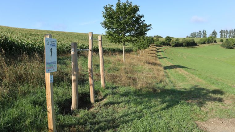 Ein Weg mit Holzpfosten und einer Informationsbeschilderung. Im Hintergrund ist ein Baum und ein grünes Feld zu sehen.