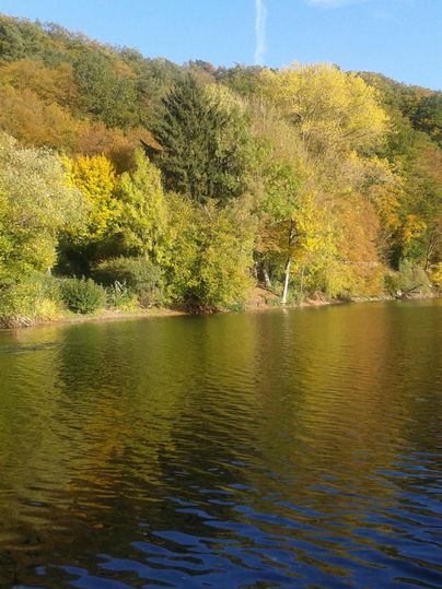 Ein ruhiger Fluss mit klaren Wasserspiegelungen. Die Ufer sind von buntem Herbstlaub umgeben.