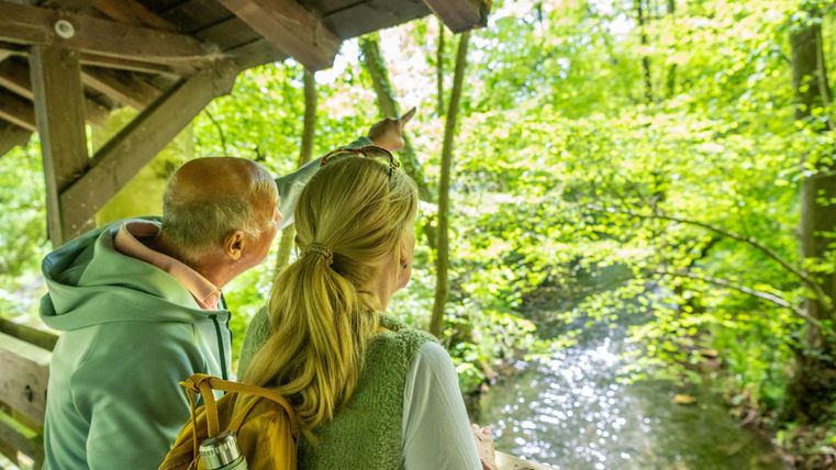 A couple stands on a viewing platform and looks at a small stream, surrounded by lush, green forest. The atmosphere is peaceful and inviting.