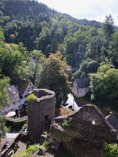 An old castle ruin with a round tower, surrounded by a lot of greenery. In the background, small houses and forests can be seen.