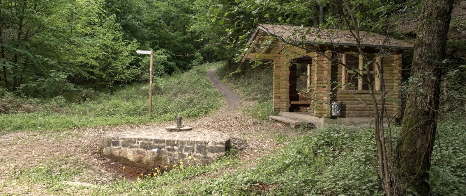 Dockweiler Drees, &copy; Natur- und Geopark Vulkaneifel