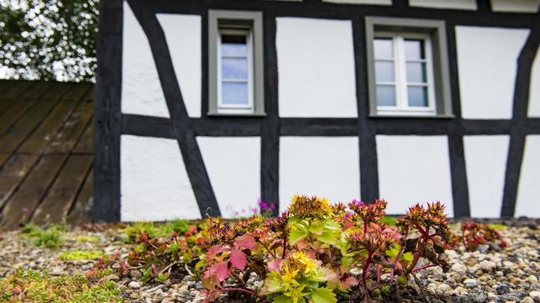 Ein traditionelles Fachwerkhaus mit weißen Wänden und schwarzen Balken. Im Vordergrund wachsen bunte Pflanzen auf einem Kiesbett.