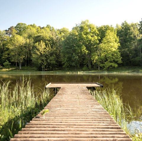 Windsborn Bergkratersee 1, © GesundLand Vulkaneifel GmbH/D. Ketz