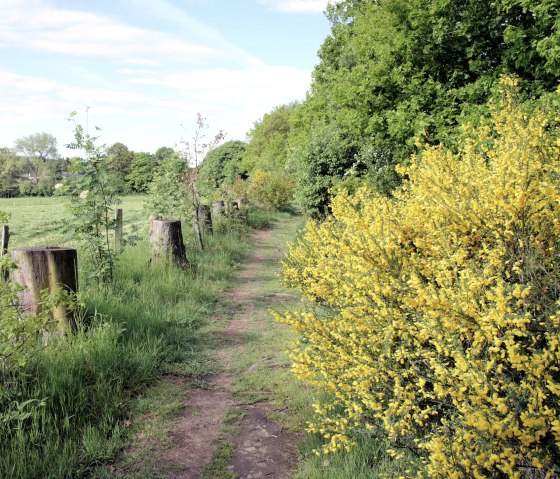 Sentier de randonnée Eifelsteig, © Monschau Touristik