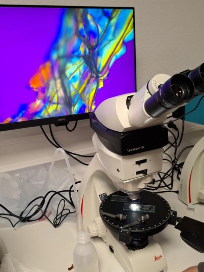 Das Bild zeigt das Gebäude des Naturzentrum Human Land mit einer einladenden Eingangstür. Über der Tür befindet sich ein Schild mit dem Namen der Einrichtung.