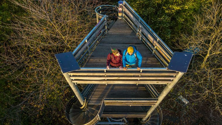 A viewing platform in the forest with two people looking down. Surrounded by trees, the scene conveys a sense of connection to nature.