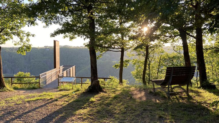 Eine sonnige Aussicht vom Wald auf ein Tal. Im Vordergrund steht eine Bank unter Bäumen.