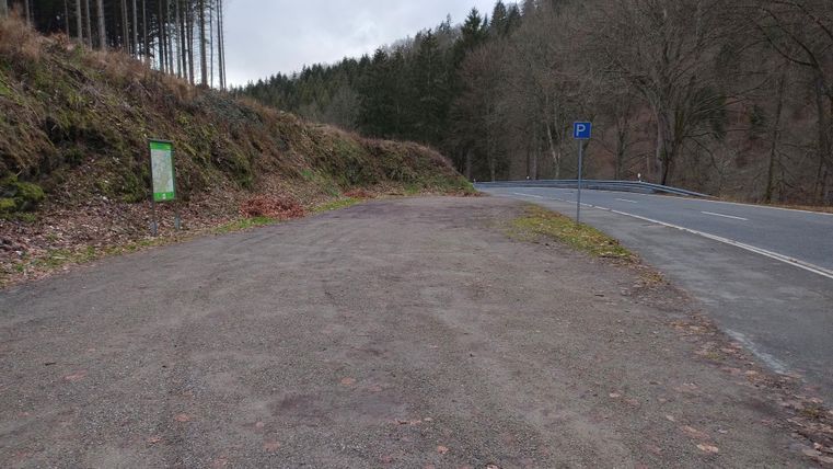 Ein ruhiger Parkplatz in der Nähe einer Straße, umgeben von Bäumen. Die Landschaft ist natürlich und unberührt.