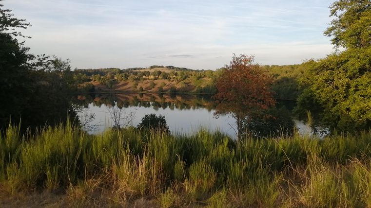 A quiet lake surrounded by green grass and trees. The landscape features gentle hills in the background and a clear sky.