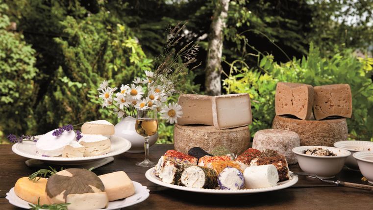 Eine schöne Auswahl an verschiedenen Käsesorten auf einem Tisch im Freien. Umgeben von frischen Blumen und einer grünen Landschaft.