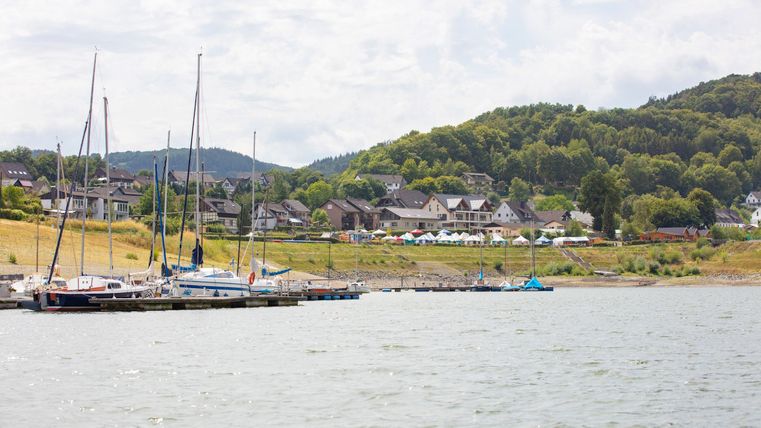 Eine ruhige Landschaft am Wasser mit Segelbooten im Hafen. Im Hintergrund sind sanfte Hügel und Häuser sichtbar.