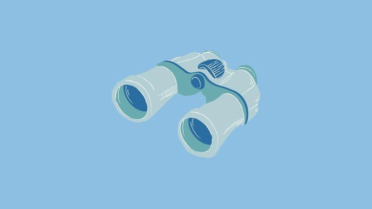 A pair of binoculars against a blue background. They are in bright colors and radiate a sense of discovery.